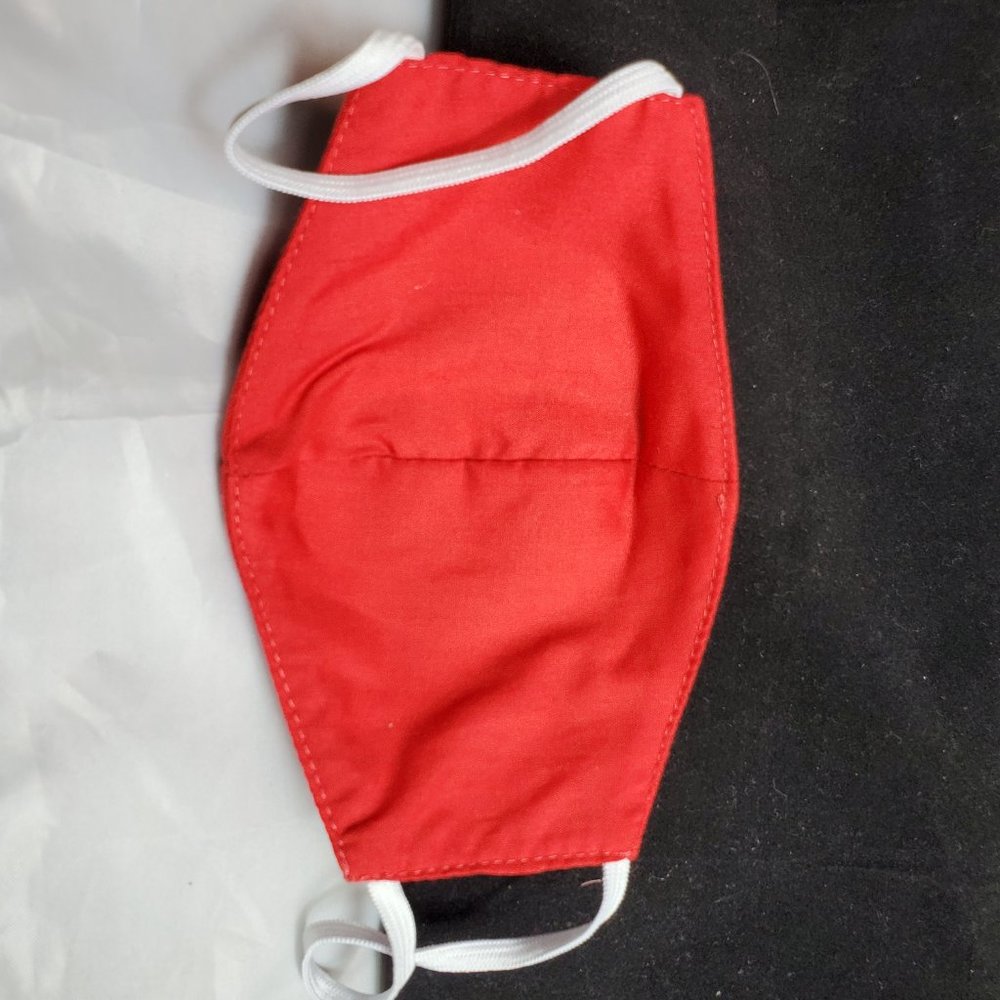 Beautiful Embroidered Face Mask Made in Yucatan - Picture 4 of 4